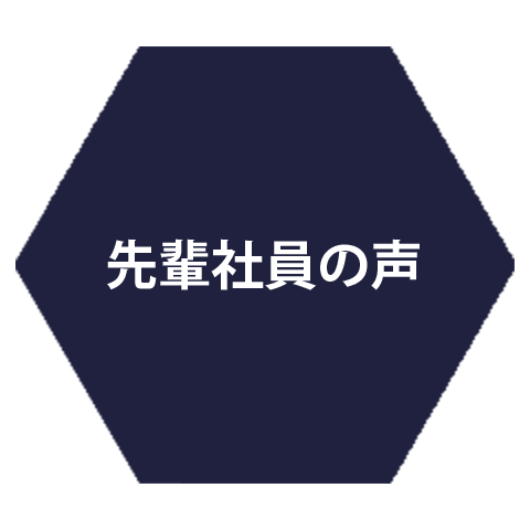 先輩社員の声